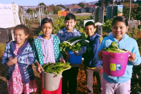 Marketing and Communications Plan - Project 2