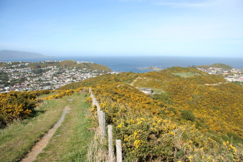 Tawatawa Reserve need your graphic design skills