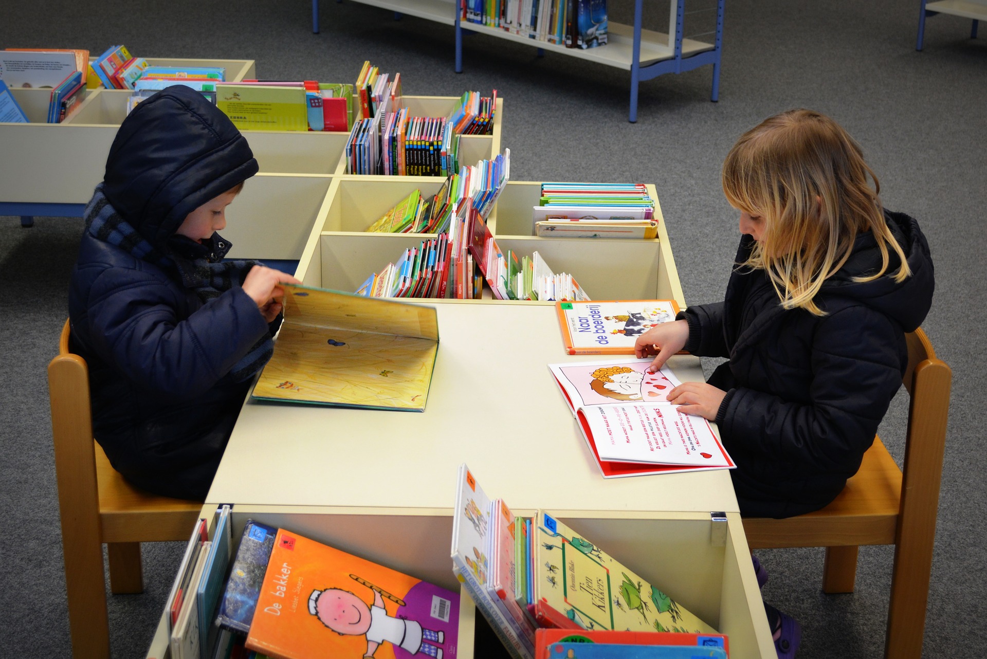 Panmure School - Help sort the school library