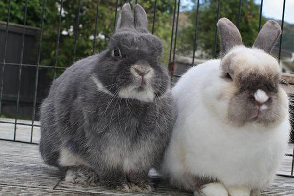 Can you help us with a new fundraising strategy?