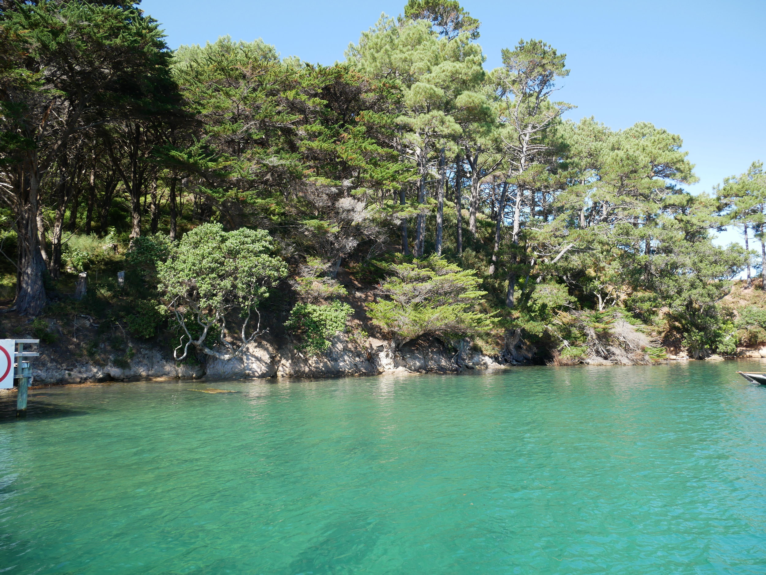 Motu Kaikoura Conservation island trust requires a treasurer in Auckland area