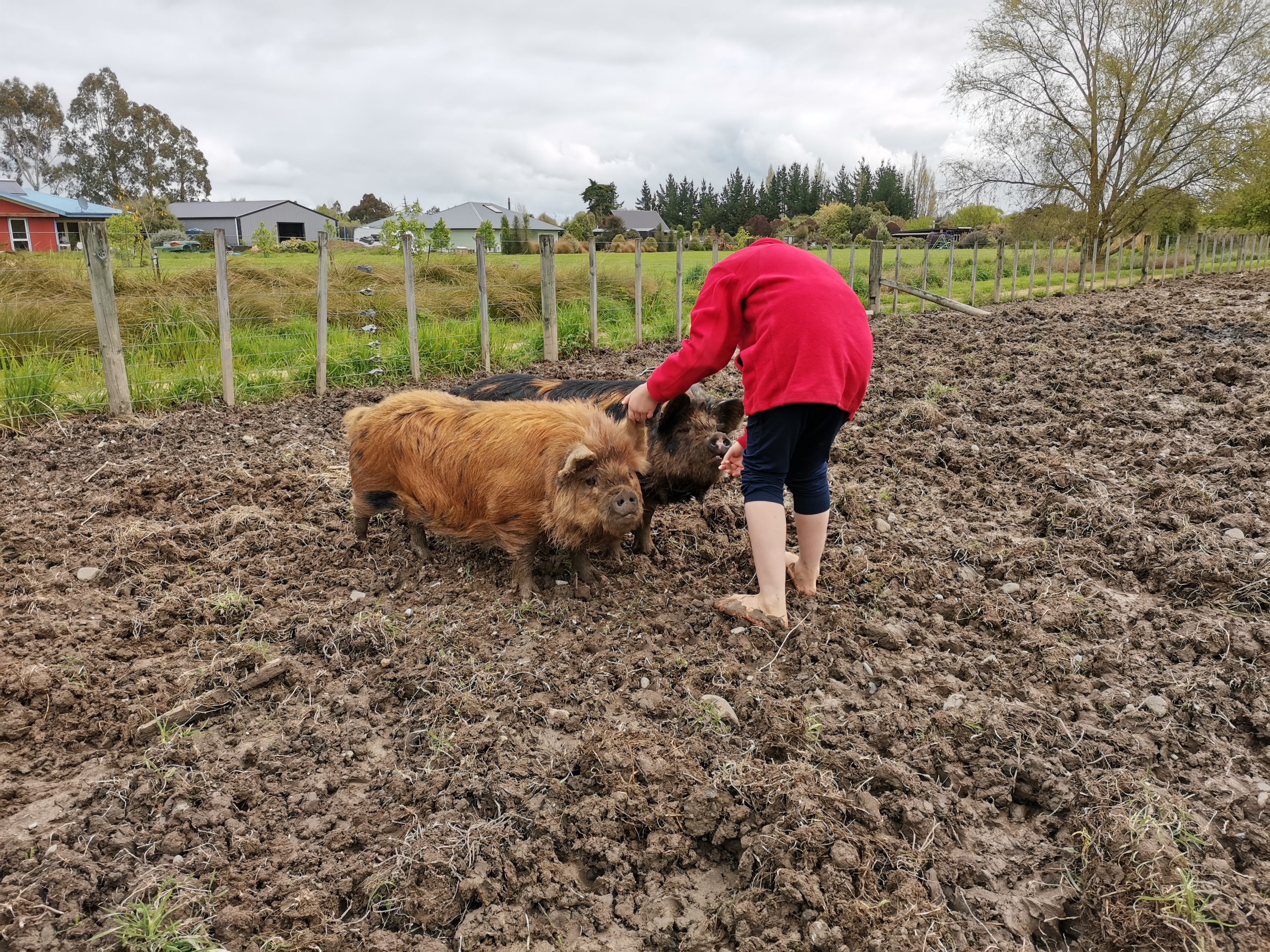 Community garden 