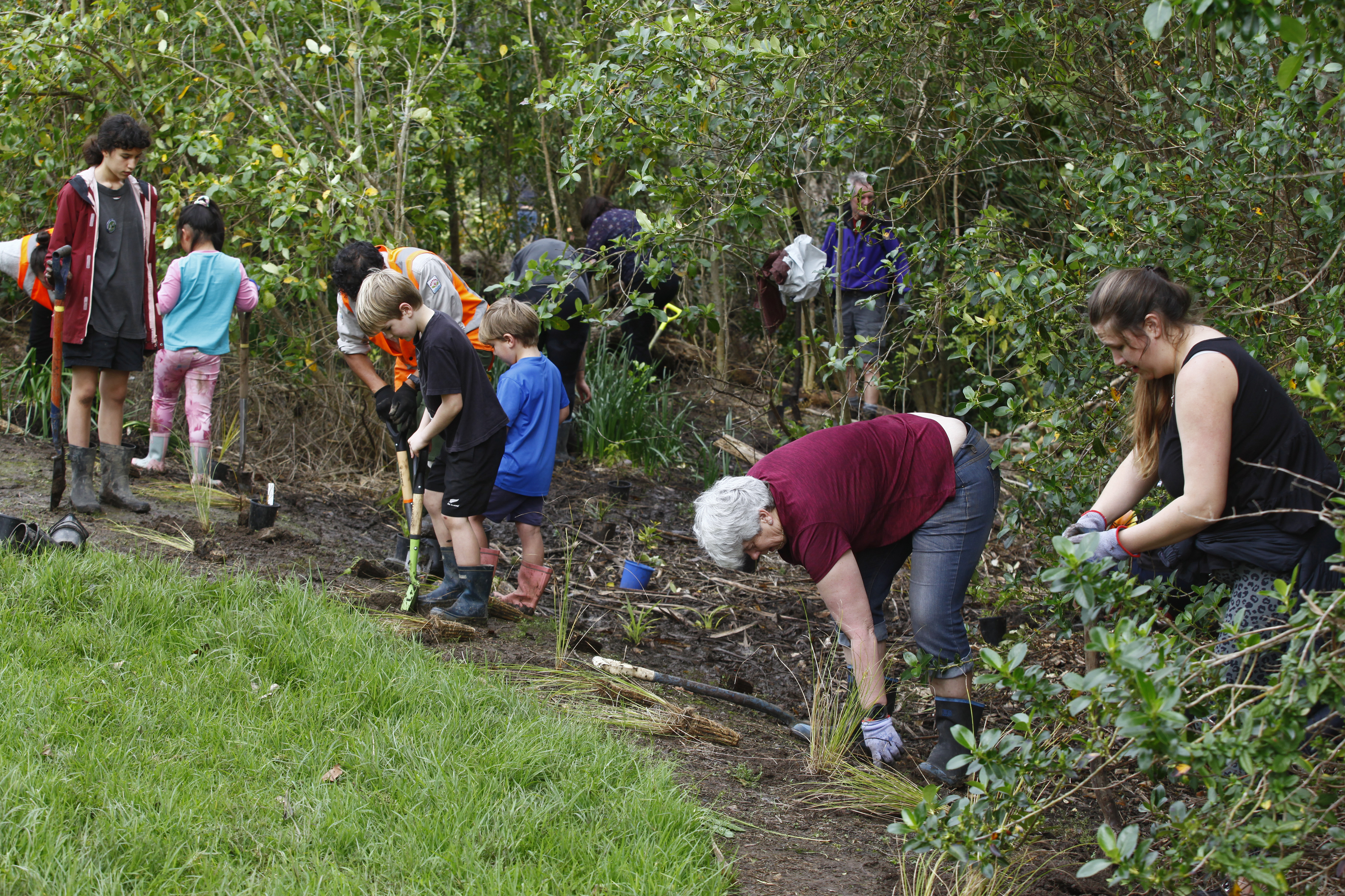 Desperately needing help to get trees into the ground ! 