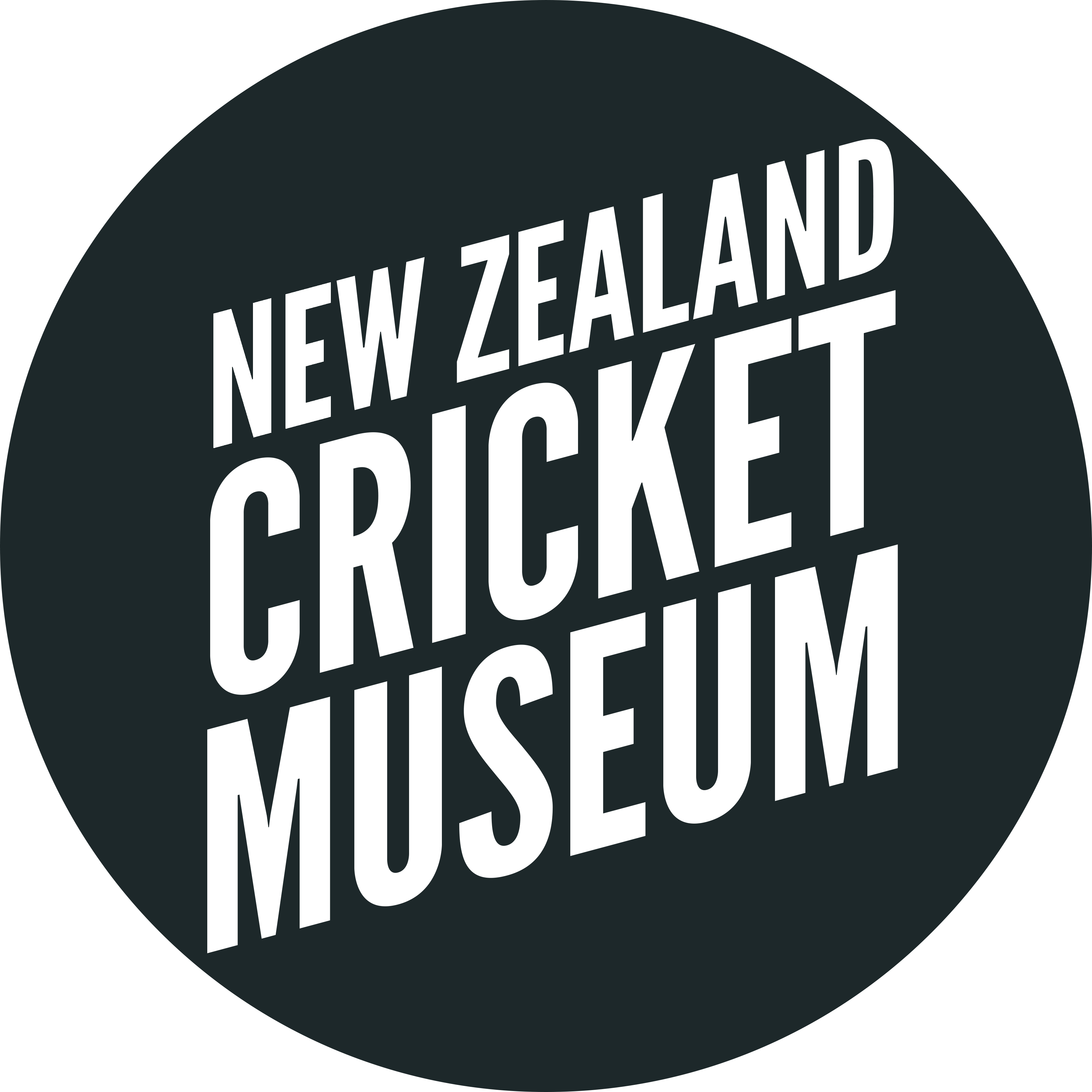 New Zealand Cricket Museum Visitor Host