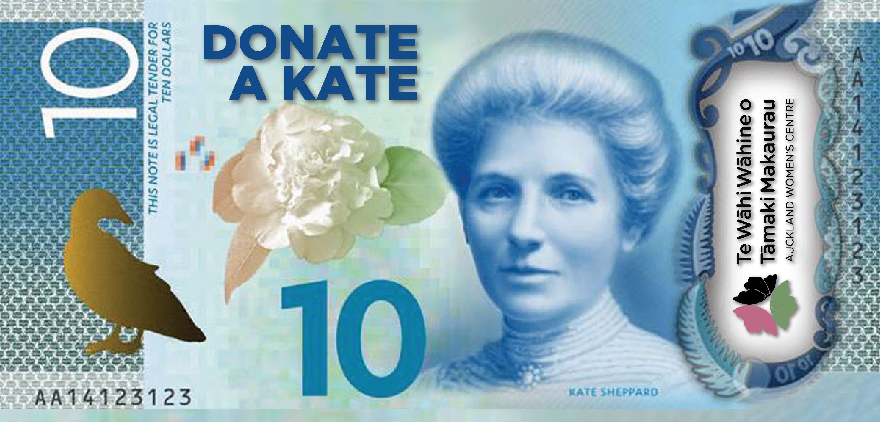 Social Media Wizz Donate A Kate